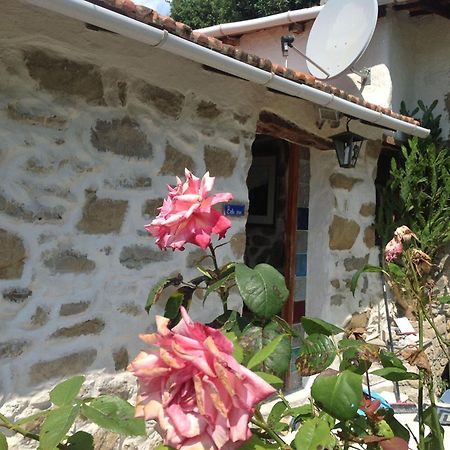 Villa D'Arte Mortola Superiore Pokój zdjęcie