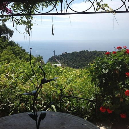 Villa D'Arte Mortola Superiore Pokój zdjęcie
