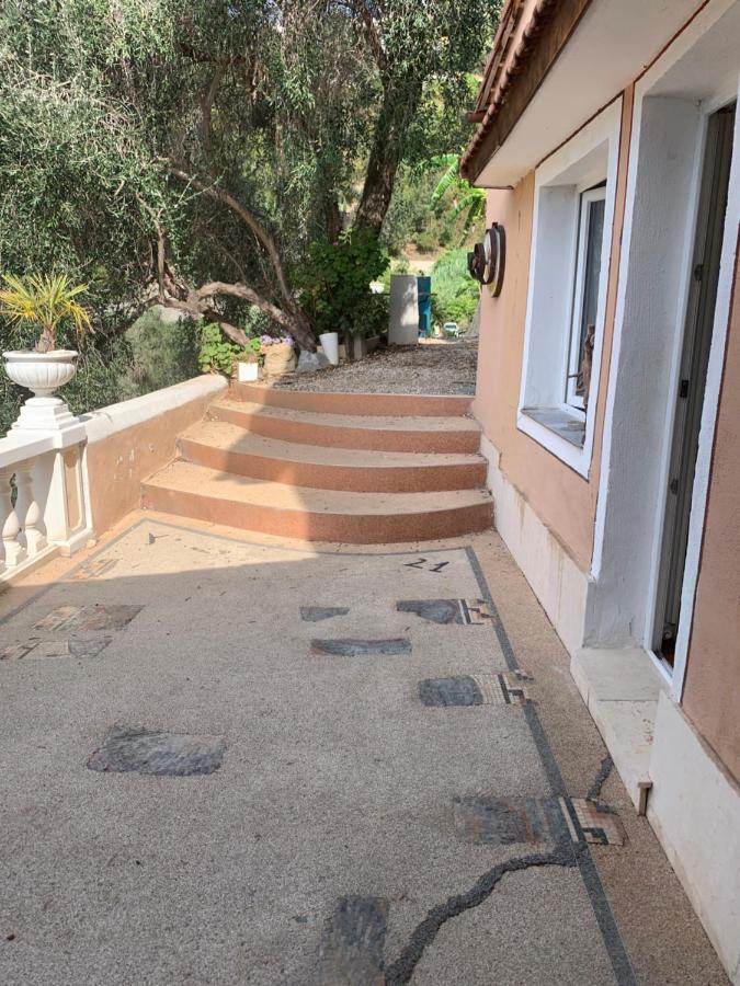 Villa D'Arte Mortola Superiore Zewnętrze zdjęcie