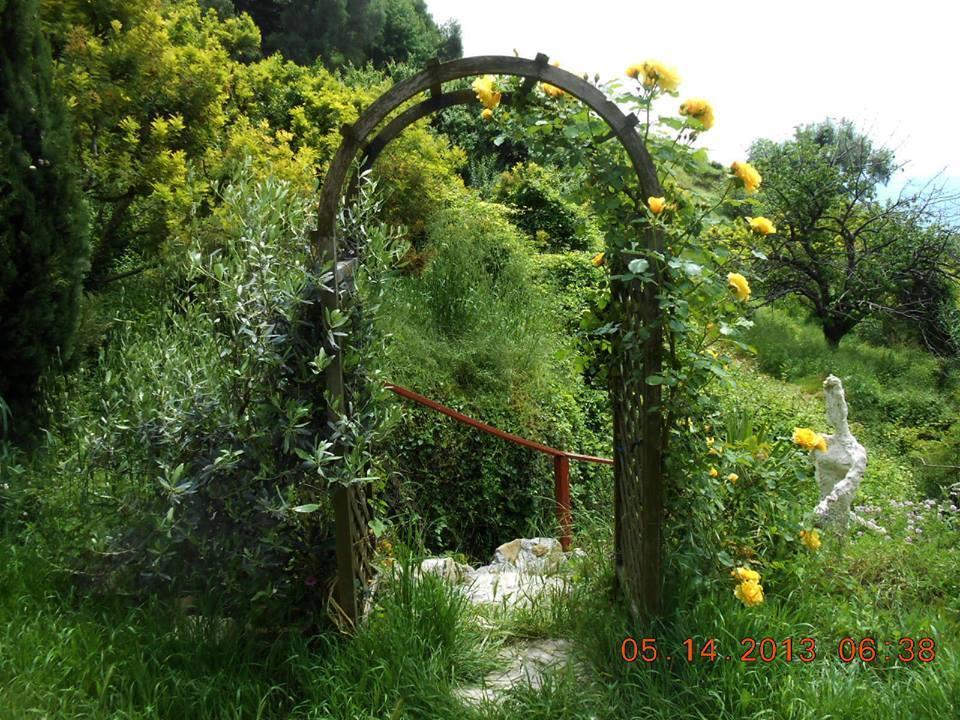 Villa D'Arte Mortola Superiore Zewnętrze zdjęcie